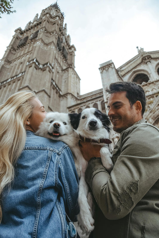 Best Dog and Cat-Friendly Fall Getaways