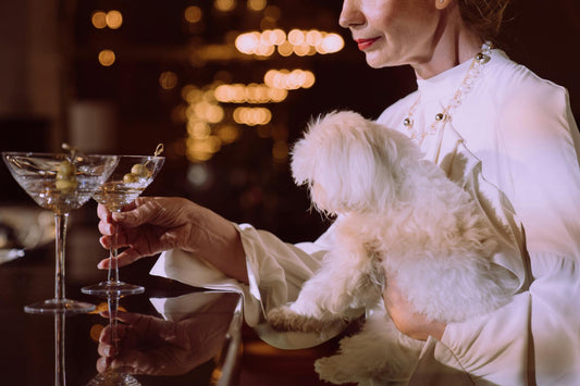 Tips for a Picky Dog