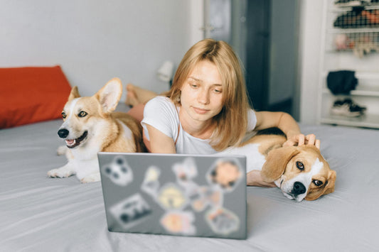 How Do Dogs Know We Love Them: Understanding Canine Emotional Intelligence
