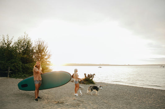 Summer Essentials for Pets