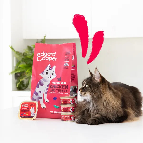 Chicken and Turkey paté for senior cats