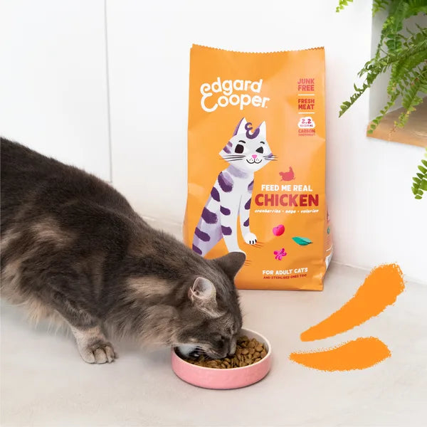 Fresh Chicken