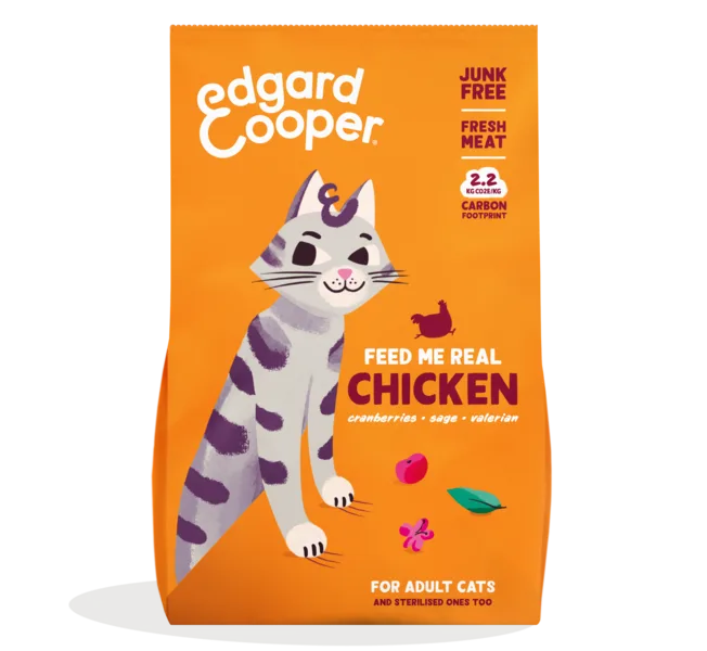 Fresh Chicken