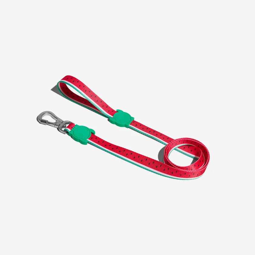 Leash LOLA