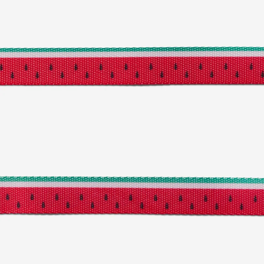 Leash LOLA