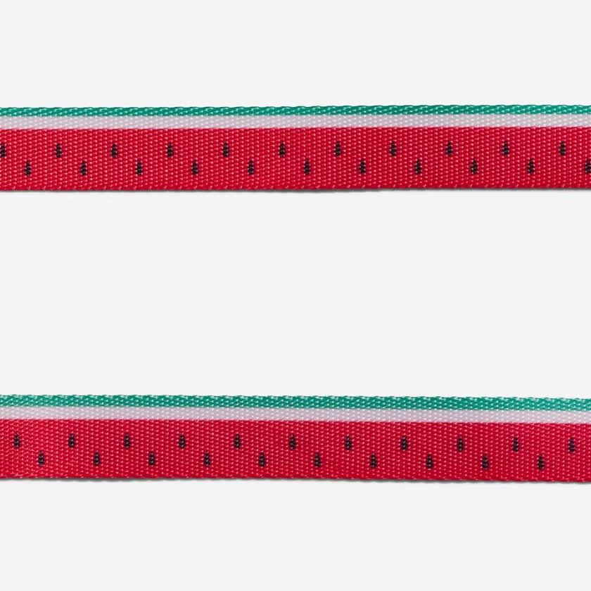 Cat Collar LOLA