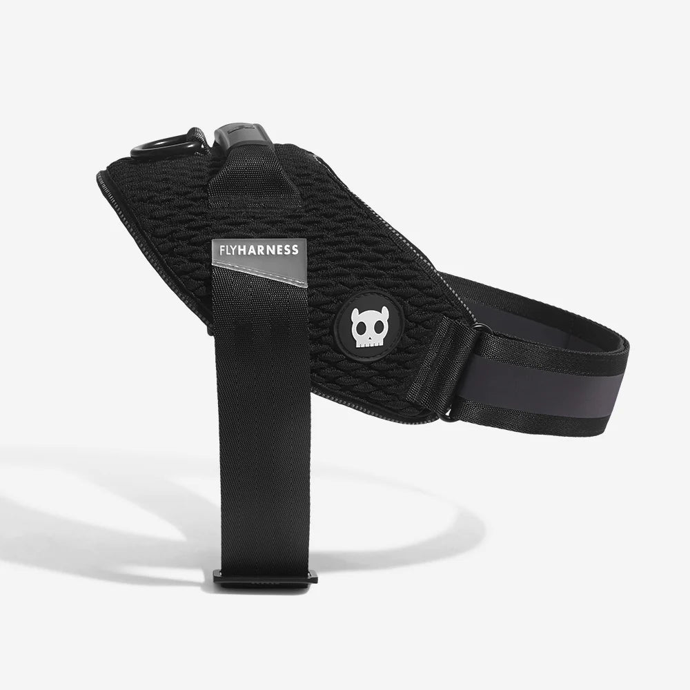 FlyHarness GOTHAM