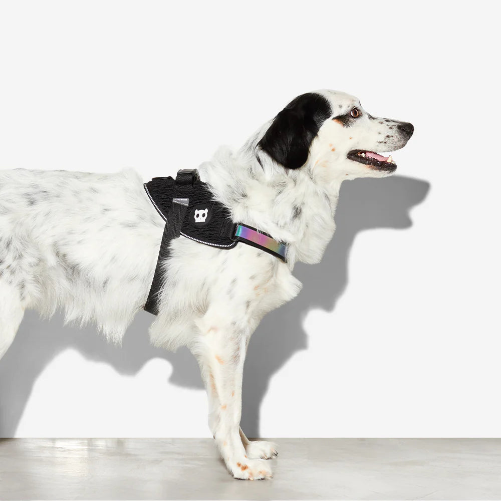 FlyHarness GOTHAM