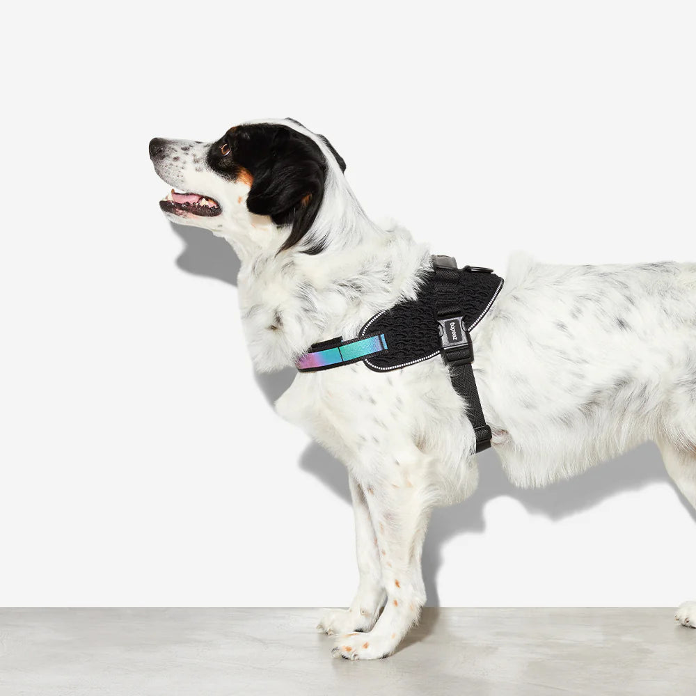 FlyHarness GOTHAM