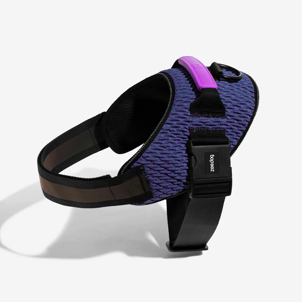 FlyHarness PERVERSO