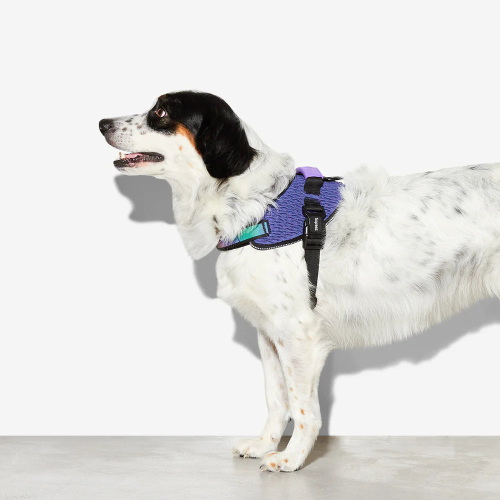 FlyHarness PERVERSO