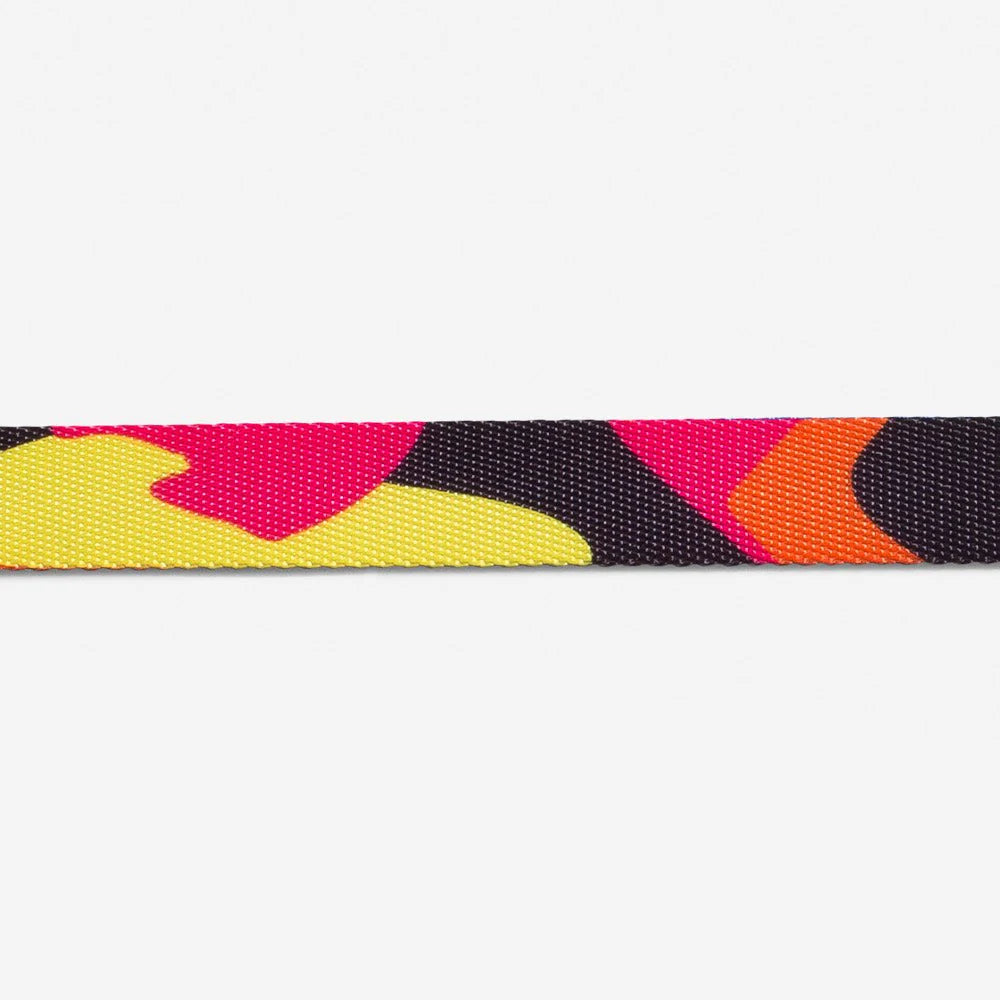 Cat Collar LOOP