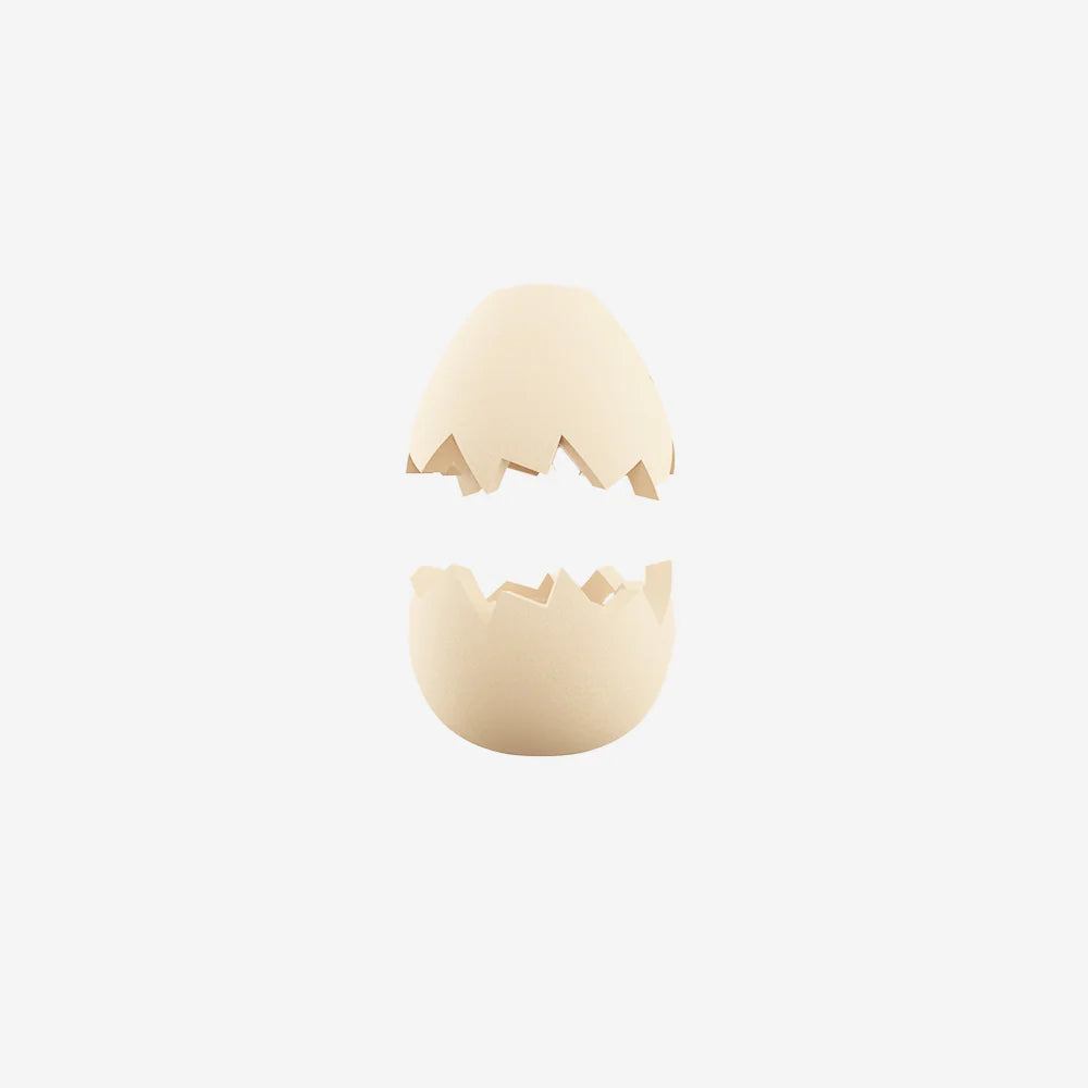Zee Pinz EGG