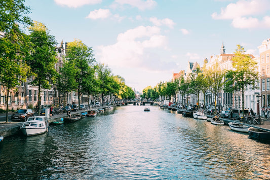 Places to Take Your Dog in Amsterdam