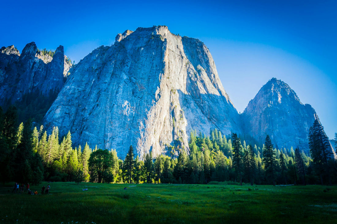 Bringing Your Dog to Yosemite National Park