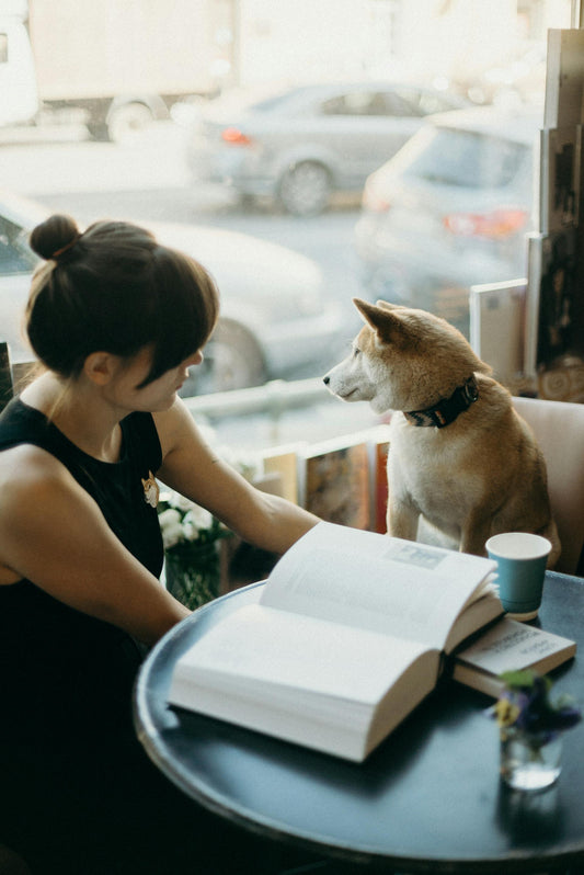 Pet Friendly Coffee Spots in Amsterdam to Visit in 2024