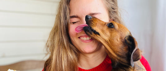 Why does my dog lick me?