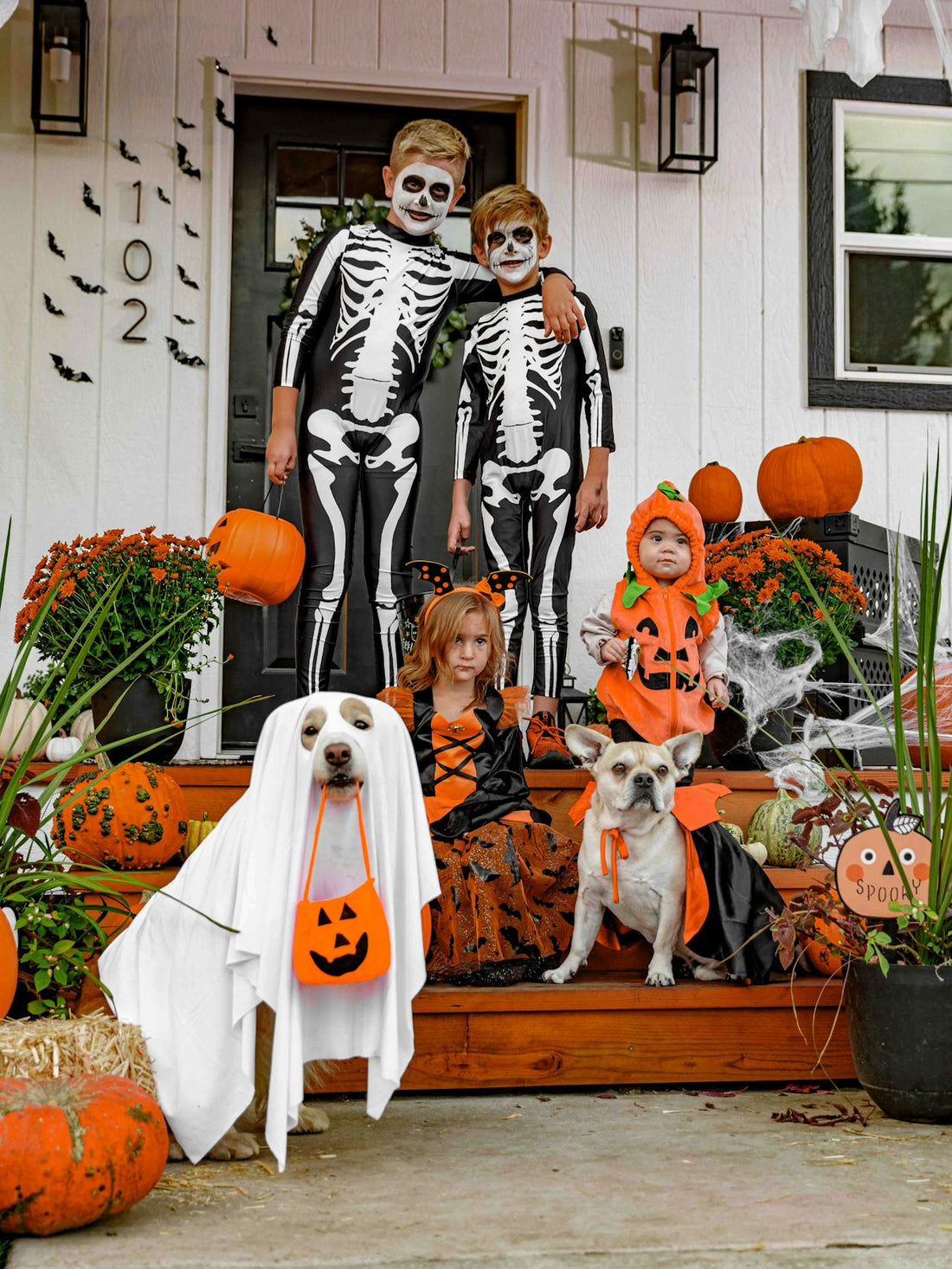 Trick or Treat with Your Dogs and Cats: How to Include Them in the Fun