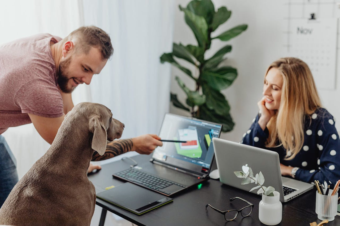 Dogs in the Workplace