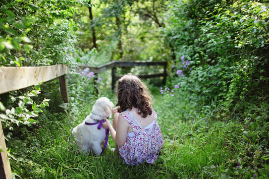 Welcoming a New Addition: Bringing Your Baby Home When You Have Dogs