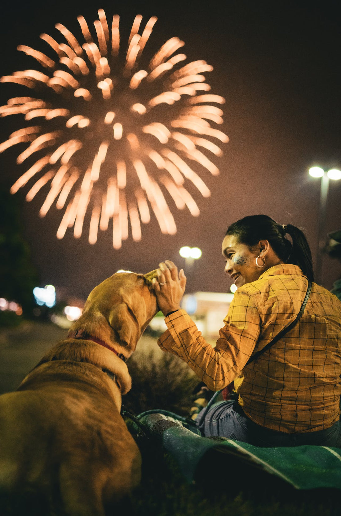 How to Keep Your Dog Calm During Fireworks