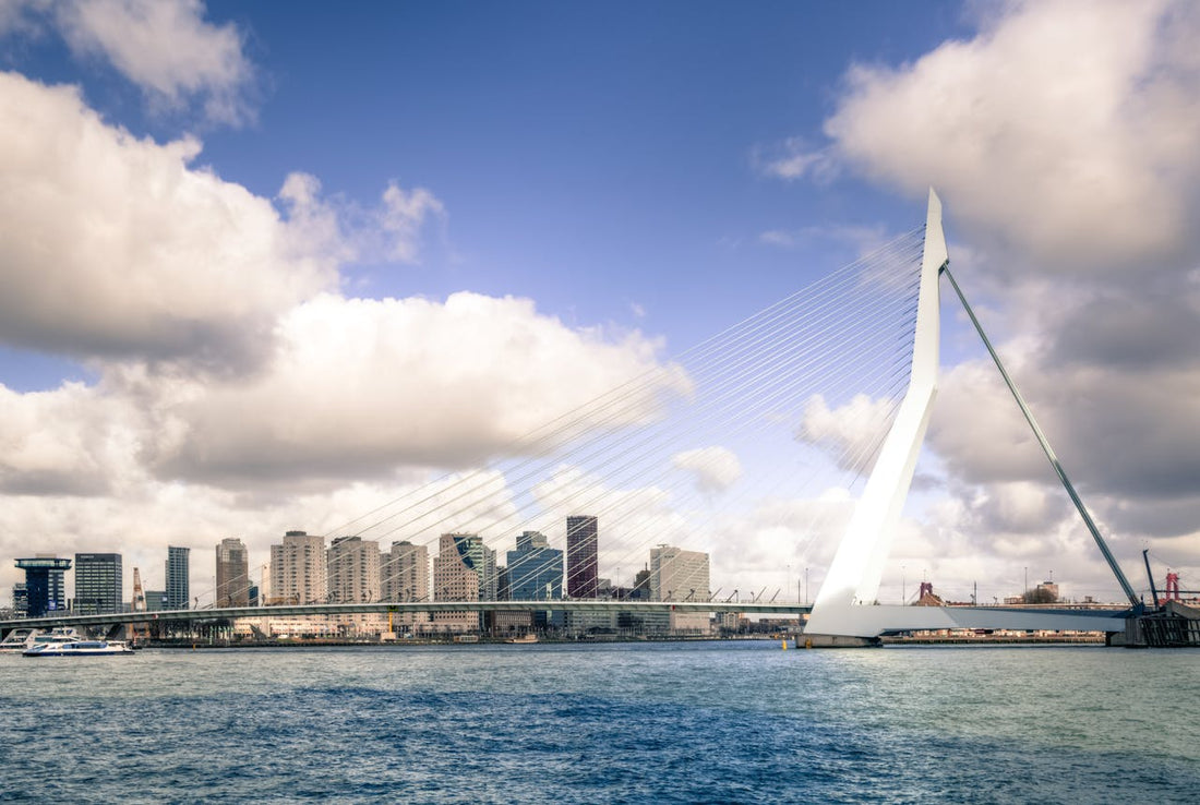 Places to Visit With Your Dog in Rotterdam