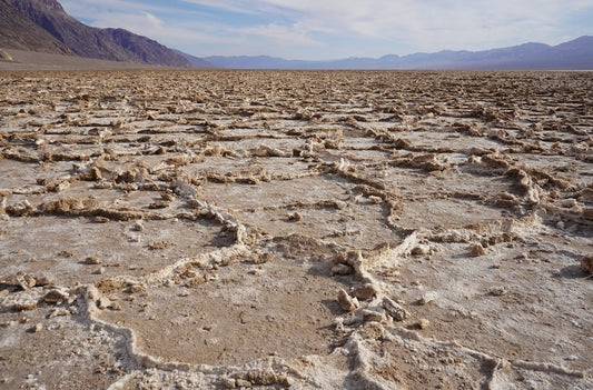 Tips for Travelling to Death Valley with Your Dog