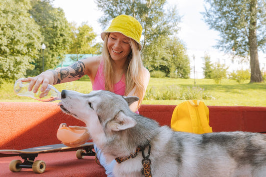 Keep Your Dog Cool and Hydrated on Warm Days: Tips and Tricks