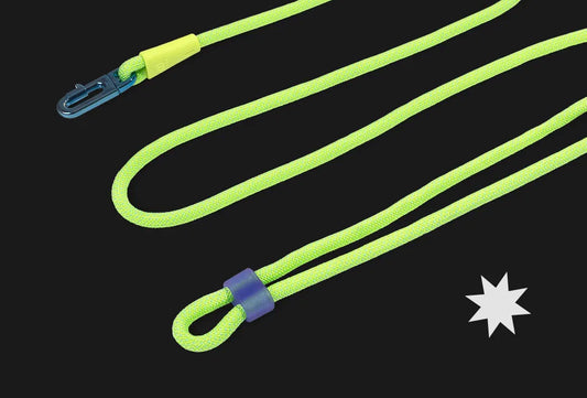 The Benefits of Glow-in-the-Dark Leashes and Hands-Free Accessories for Walking Your Dog