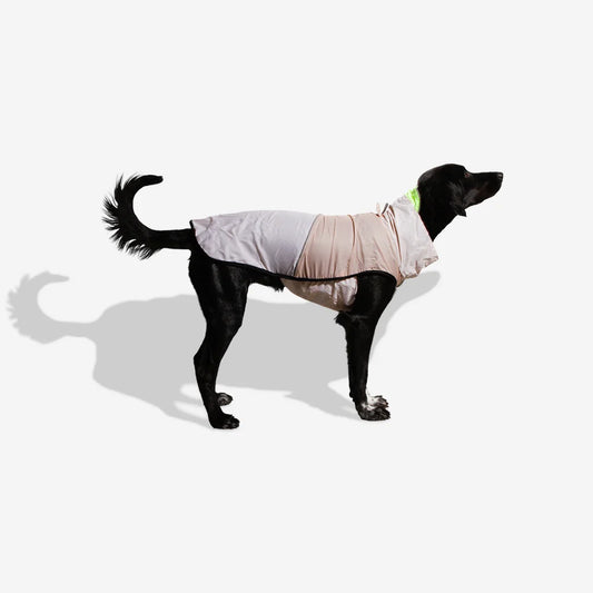 Zee.Dog oatmeal raincoat