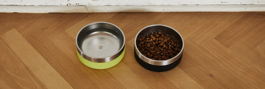 Your Guide to Proper Cleaning your Dog Bowl