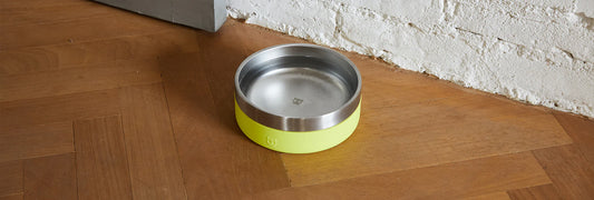 Dog Feeder