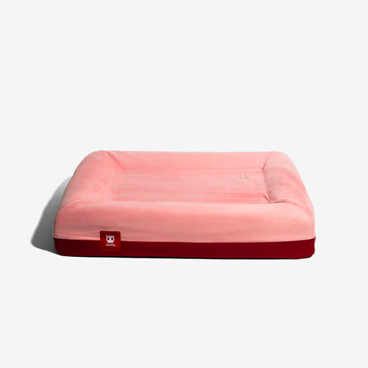 Zee.Bed NAJIMA