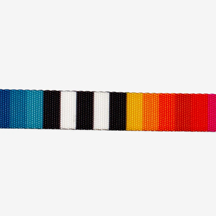Cat Collar PRISMA