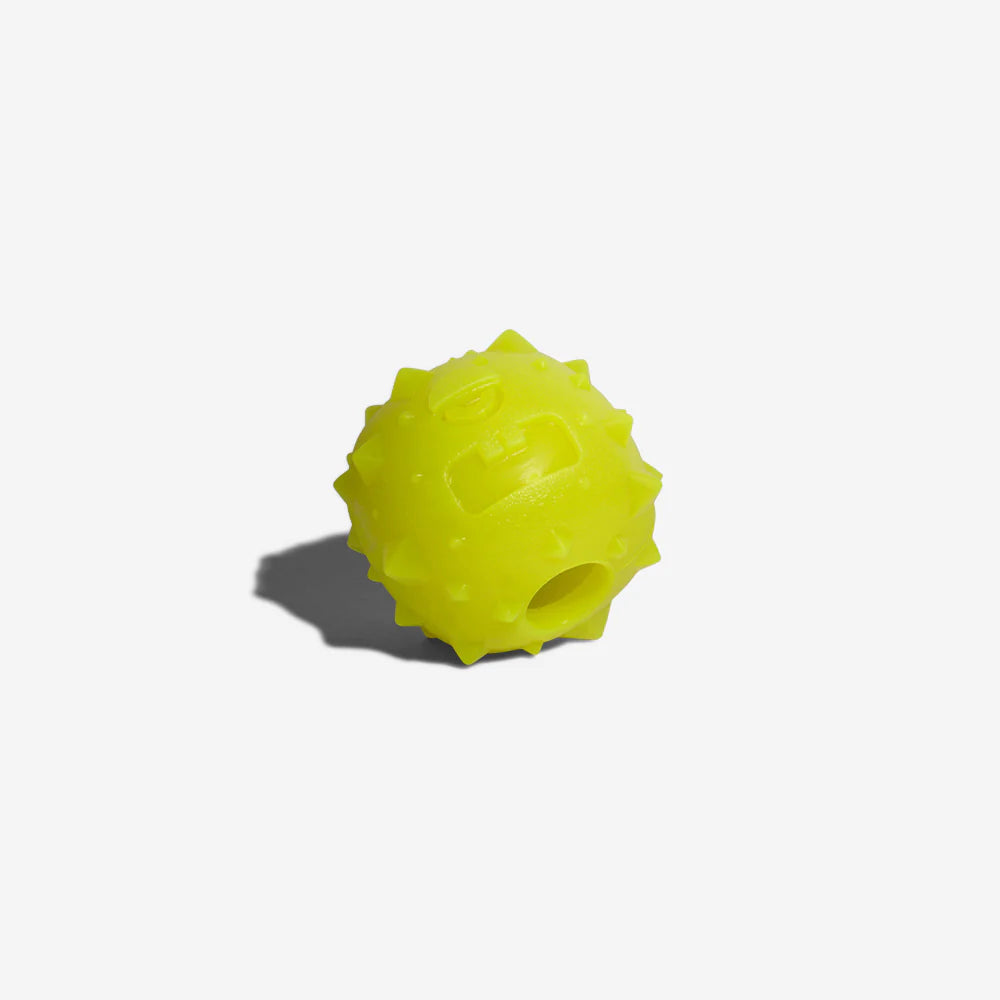 Dog Toy ROB THE MICROBE