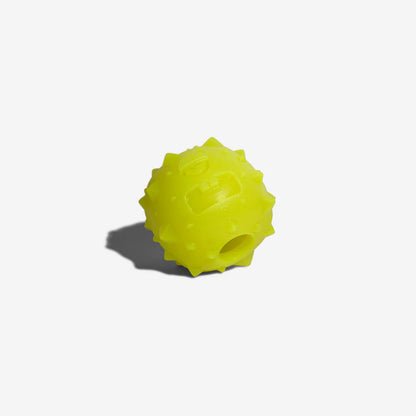 Dog Toy ROB THE MICROBE