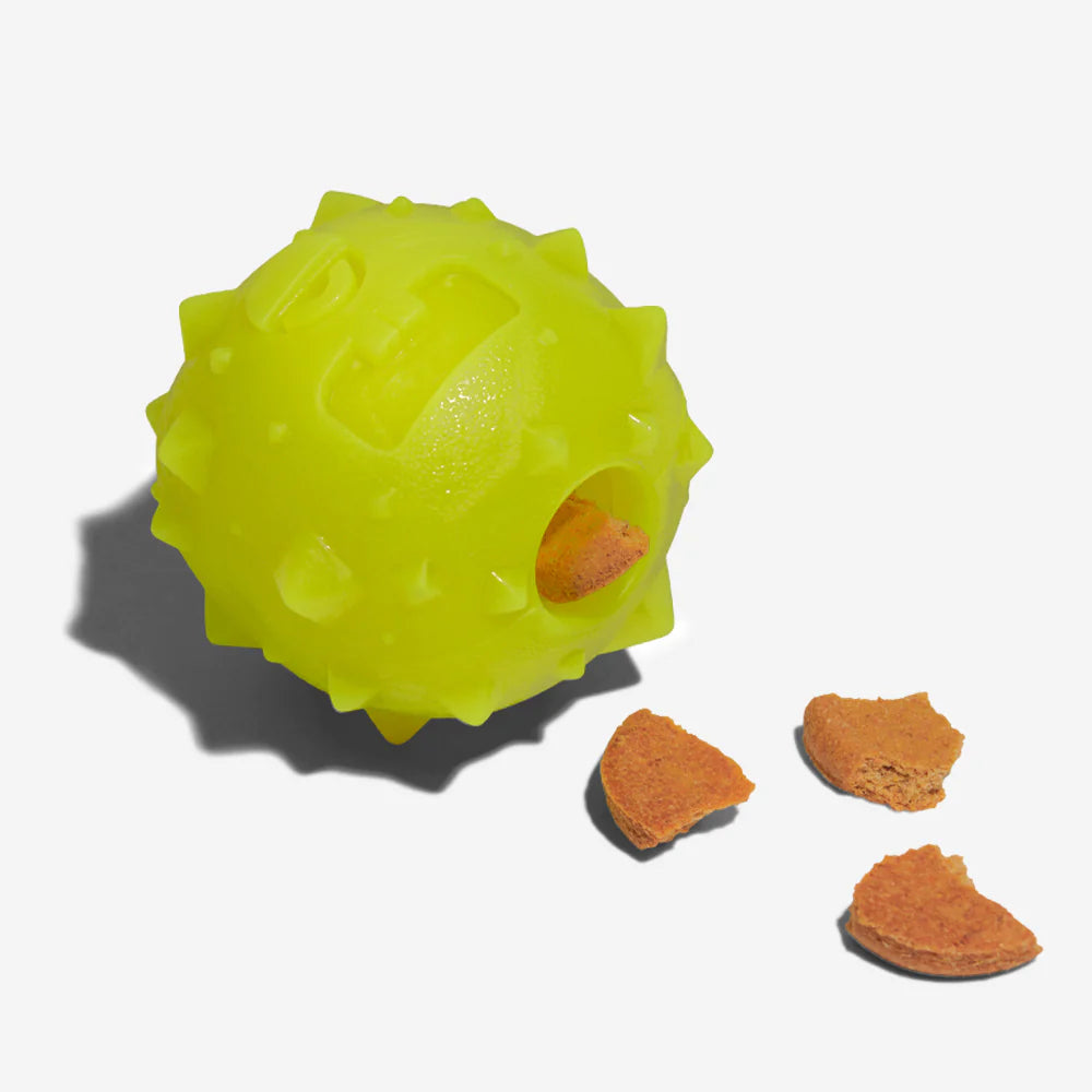 Dog Toy ROB THE MICROBE