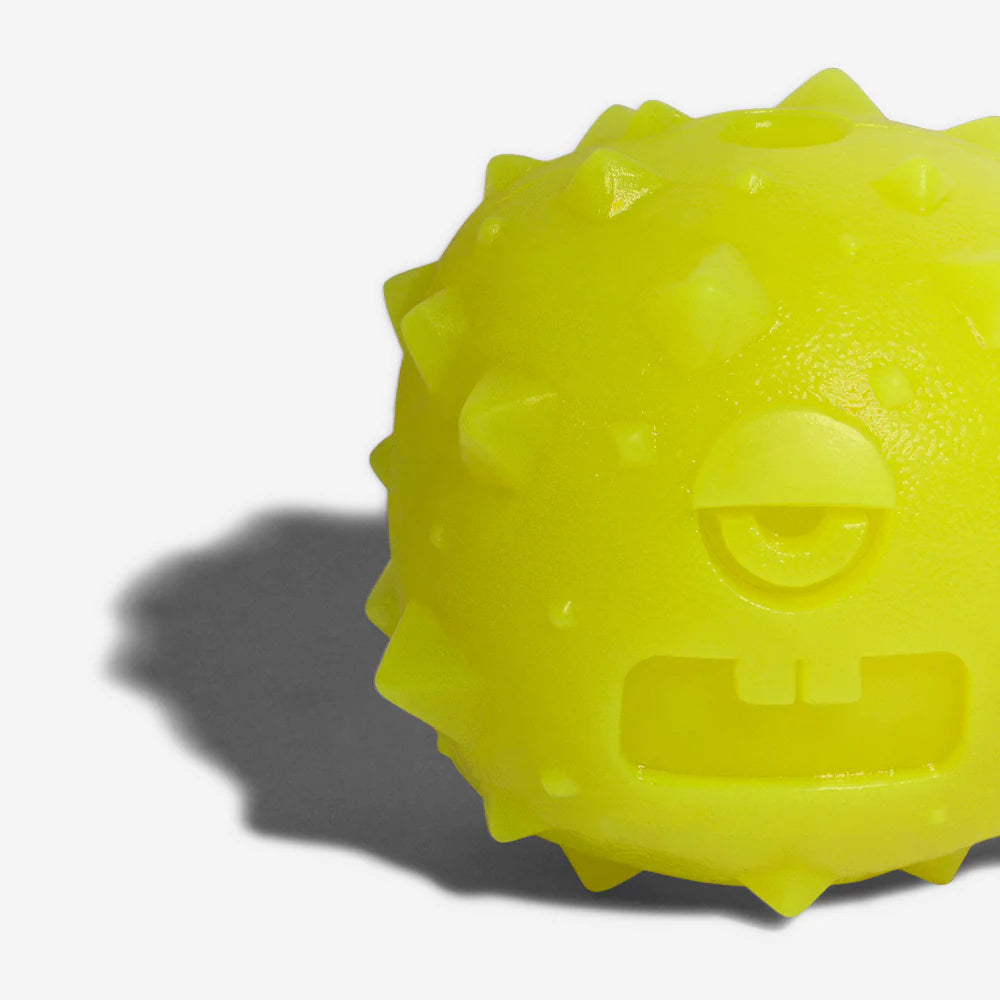 Dog Toy ROB THE MICROBE