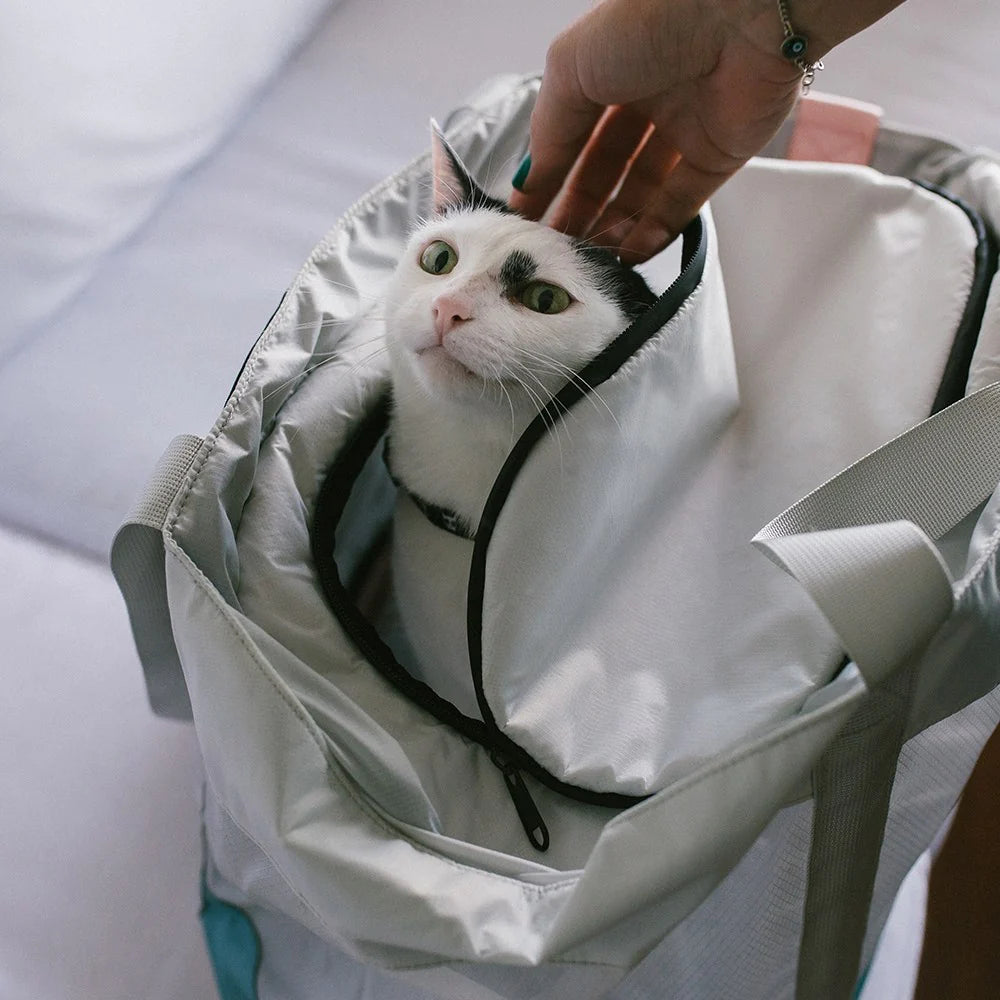 Cat Carrier Bag KOMBUCHA