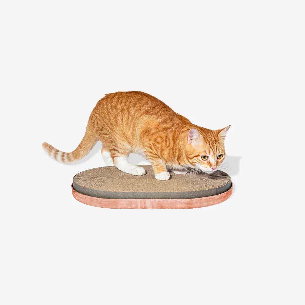 Cat Scratcher CITRUS