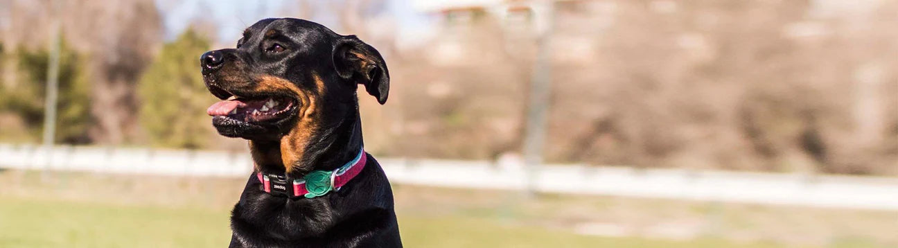 Collar LOLA