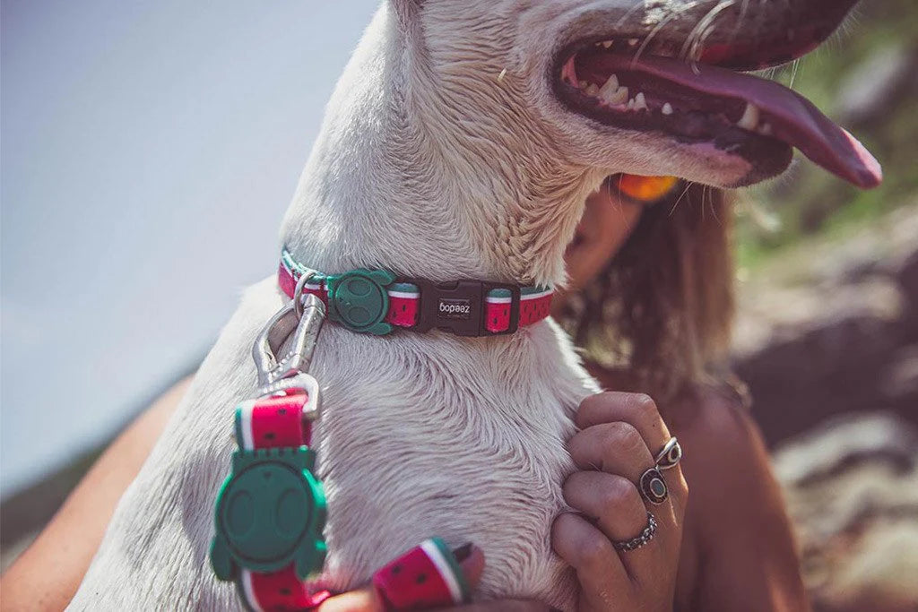 Collar LOLA