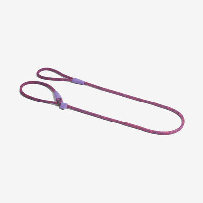 Slip-on Leash Cosmo